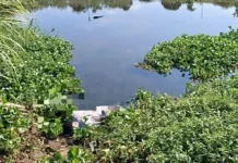 Two Bodies Recovered in Durban: SAPS Search and Rescue Teams Investigate Umgeni River and North Beach Incidents