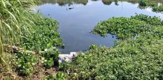 Two Bodies Recovered in Durban: SAPS Search and Rescue Teams Investigate Umgeni River and North Beach Incidents Two Bodies Recovered in Durban: SAPS Search and Rescue Teams Investigate Umgeni River and North Beach Incidents