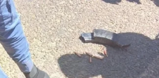 ATM Bombing Plot Foiled in Limpopo: Four Arrested, AK-47 and Ammunition Seized ATM Bombing Plot Foiled in Limpopo: Four Arrested, AK-47 and Ammunition Seized