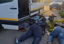 Gqeberha Copper Cable Theft: Six Arrested as SAPS K9 Unit Recovers R500k Loot