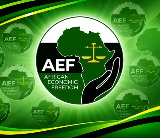 African Economic Freedom Debuts in 2026 Local Government Elections with Focus on Economic Inclusion African Economic Freedom Debuts in 2026 Local Government Elections with Focus on Economic Inclusion