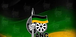 Cyril Ramaphosa Leads ANC Election Campaign in Ekurhuleni to Reclaim Metro Majority