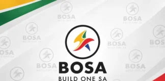 2026 Local Government Elections: BOSA Leader Mmusi Maimane Calls for Fewer Provinces