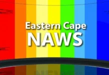 Eastern Cape Unemployment Crisis: Youth Council Demands Action in 2026 Medium-Term Budget Policy Statement