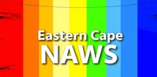 Eastern Cape Unemployment Crisis: Youth Council Demands Action in 2026 Medium-Term Budget Policy Statement