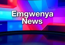 Emgwenya Service Delivery Crisis Sparks Voter Frustration Ahead of Mpumalanga Local Elections Emgwenya Service Delivery Crisis Sparks Voter Frustration Ahead of Mpumalanga Local Elections