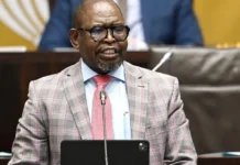 South Africa MTBPS 2026: R10 Billion Fuel Levy Relief Sparks Mixed Political Reactions South Africa MTBPS 2026: R10 Billion Fuel Levy Relief Sparks Mixed Political Reactions