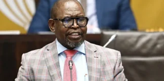 South Africa MTBPS 2026: R10 Billion Fuel Levy Relief Sparks Mixed Political Reactions