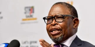 MTBPS 2026: Finance Minister Enoch Godongwana Unveils R10 Billion Fuel Levy Relief and Economic Reforms