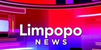 R572 Road Deterioration Cripples Maasstroom Farmers Amid 16 Years of Neglect R572 Road Deterioration Cripples Maasstroom Farmers Amid 16 Years of Neglect
