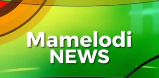 14-Year-Old Twins Stabbed to Death in Mamelodi West as Police Launch Murder Investigation