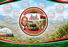 LGE 2026: Mbombela Yebahlali Residents Party Takes Center Stage in Mpumalanga Elections LGE 2026: Mbombela Yebahlali Residents Party Takes Center Stage in Mpumalanga Elections