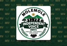 Molemole Independent Voice Targets Limpopo Wards in 2026 Local Government Elections Molemole Independent Voice Targets Limpopo Wards in 2026 Local Government Elections