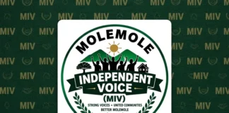 Newly Formed Molemole Independent Voice (MIV) Targets 16 Wards in Limpopo Elections