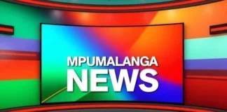 Zama Zama Wars and Illegal Mining in Mpumalanga Spark Calls for Military Intervention