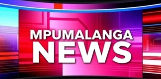 Over 200 People Rescued From Illegal Rehabilitation Centre in Mpumalanga After Being Found Chained