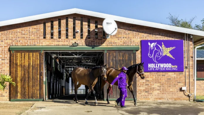 RETIRED RACEHORSES ENJOY SECOND LIFE THANKS TO HOLLYWOODBETS RETIRED RACEHORSES ENJOY SECOND LIFE THANKS TO HOLLYWOODBETS
