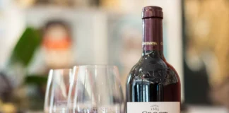 Groot Constantia’s Pinotage Legacy Continues to Earn Recognition