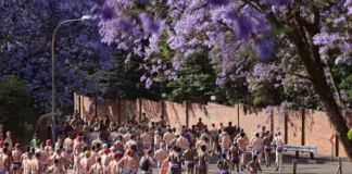 Less than a month to go. ONE SMALL SPEEDO. ONE IMPORTANT CAUSE Excitement builds ahead of the 2026 Hollard Daredevil Run Less than a month to go. ONE SMALL SPEEDO. ONE IMPORTANT CAUSE Excitement builds ahead of the 2026 Hollard Daredevil Run
