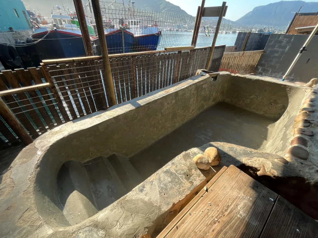 Hout Bay Seal Rescue Centre Waterproofing. Image supplied by PR company.