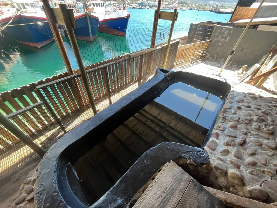Hout Bay Seal Rescue Centre Waterproofing. Image supplied by PR company.