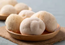 Lion’s Mane: the mushroom supplement everyone is talking about, but few understand Lion’s Mane: the mushroom supplement everyone is talking about, but few understand. Image supplied by PR company.