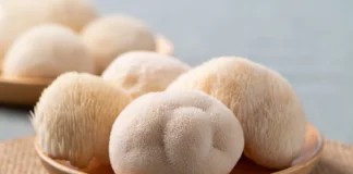 Lion’s Mane: the mushroom supplement everyone is talking about, but few understand