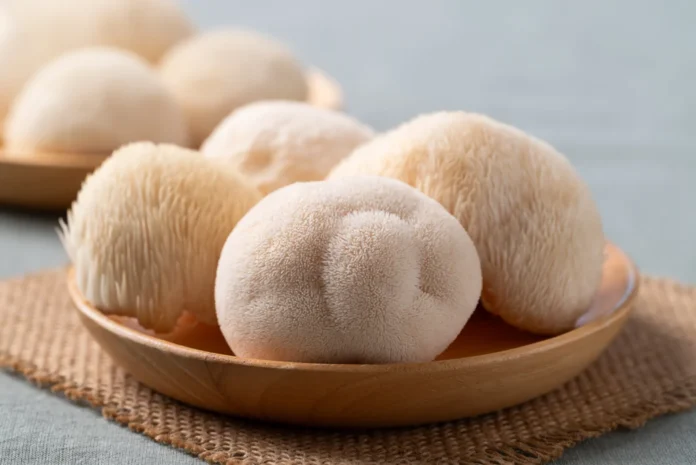 Lion’s Mane: the mushroom supplement everyone is talking about, but few understand Lion’s Mane: the mushroom supplement everyone is talking about, but few understand