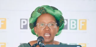 Health experts call for pragmatic harm reduction policies as South Africa confronts healthcare and economic pressures