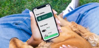 Naked introduces pet insurance from R40 a month, with claims paid in minutes