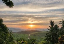 Why Coastal Farm Living Is Changing the Way Families Live The KZN Mid-South Coast offers the best of both worlds, wide-open spaces of farm living and water-based adventures of life by the sea.