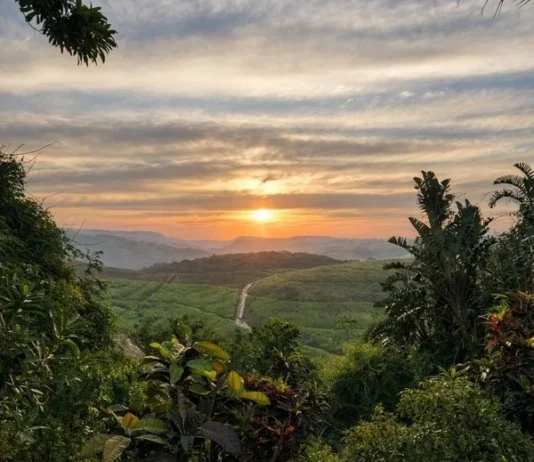 The KZN Mid-South Coast offers the best of both worlds, wide-open spaces of farm living and water-based adventures of life by the sea.