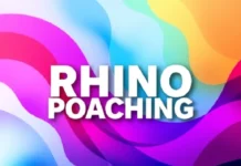 Major Rhino Poaching Arrests: Three Suspects Nabbed After Two White Rhinos Killed Major Rhino Poaching Arrests: Three Suspects Nabbed After Two White Rhinos Killed