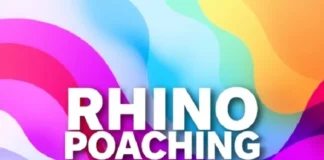 Major Rhino Poaching Arrests: Three Suspects Nabbed After Two White Rhinos Killed Major Rhino Poaching Arrests: Three Suspects Nabbed After Two White Rhinos Killed