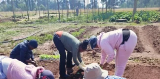 SOUTH AFRICA’S NUTRITION CRISIS STARTS WITH WHAT PEOPLE CAN AFFORD