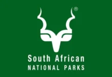 Former Kruger National Park Officials Sentenced for White Rhino Poaching