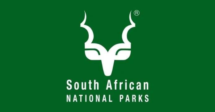 Former Kruger National Park Officials Sentenced for White Rhino Poaching Former Kruger National Park Officials Sentenced for White Rhino Poaching