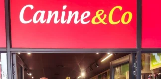 Paws for Joy: Fill a tummy this festive season Paws for Joy: Fill a tummy this festive season
