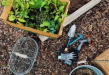 THREE SMART ADDITIONS TO YOUR SUMMER GARDENING TOOLKIT Three Smart Additions To Your Summer Gardening Toolkit. Image supplied by PR company.