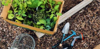 THREE SMART ADDITIONS TO YOUR SUMMER GARDENING TOOLKIT