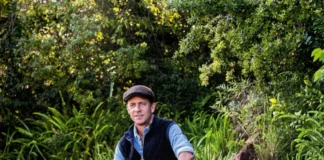 From Lockdown Garden to National Honour: Tim Steyn Named Landscape Designer of the Year