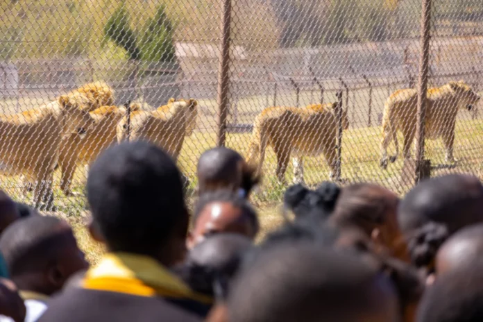 Kids Say the Darndest Things About Animals Kids Say the Darndest Things About Animals